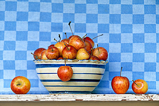 苹果,条纹,碗,蓝色,方格,背景,荷兰