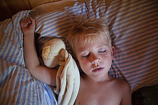 男孩,睡觉,毛绒玩具,俯拍