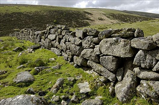 石墙,靠近,桥,达特姆尔高原,国家公园,德文郡,英格兰