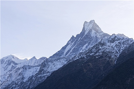 鱼尾,山,尼泊尔