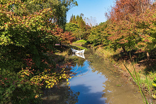 城市公园秋色