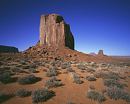 沙漠植被,纪念碑谷