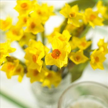 花瓶,黄色,水仙花,复活节餐桌