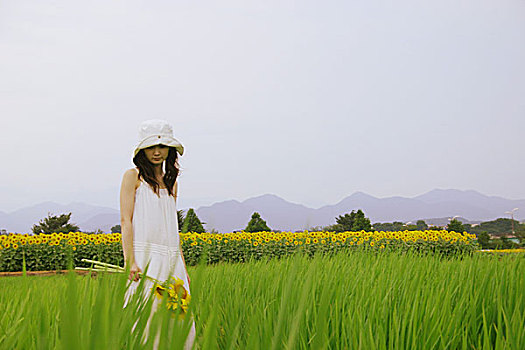 女人,向日葵,地点