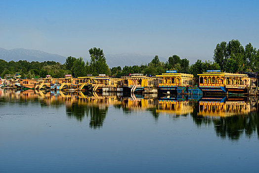 船屋,湖,反射,斯利那加,查谟-克什米尔邦,印度,亚洲