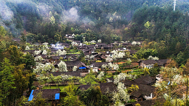 重庆酉阳,又进后坪榄树湾