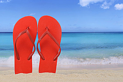 人字拖鞋,海岸,夏天,休假