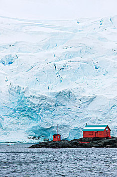 阿根廷,研究站,冰河,南极半岛,南极