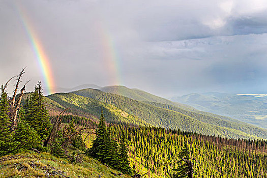 一对,彩虹,上方,白鲑,山脉,顶峰,树林,蒙大拿,美国