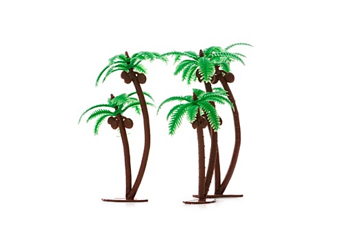 棕榈树,隔绝,白色背景