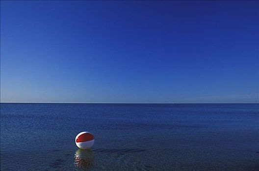 水皮球,海中,科德角,马萨诸塞,美国
