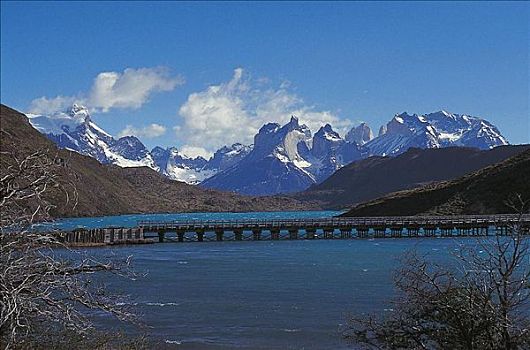 湖,桥,巴塔哥尼亚,智利,南美