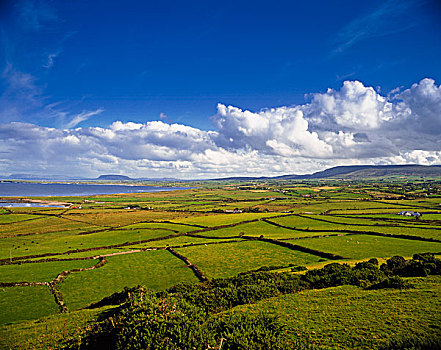 农业,风景,爱尔兰