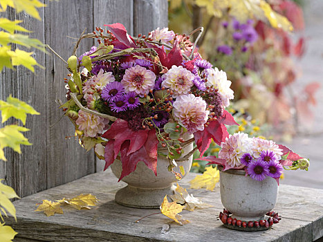 混合,秋季花束,大丽花,紫苑属,景天属植物
