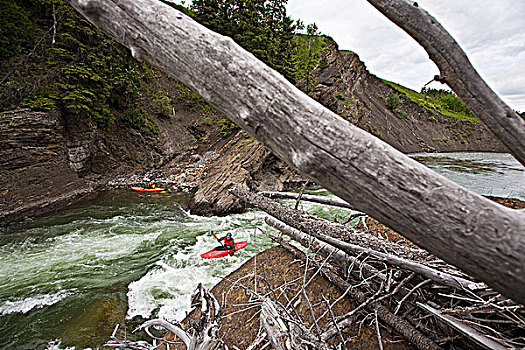 男性,皮划艇手,急流,河,艾伯塔省,加拿大