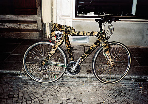 自行车,豹,遮盖
