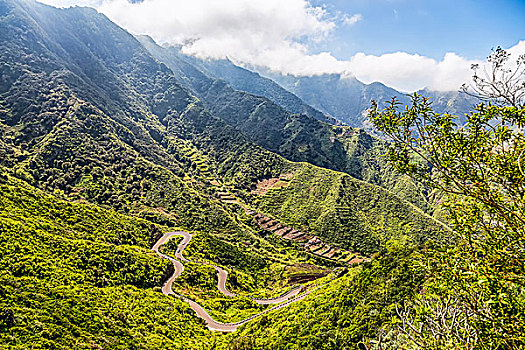 风景,绿色,山,道路