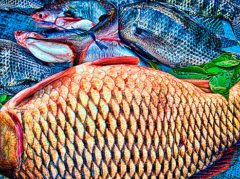 泰国,鱼,市场