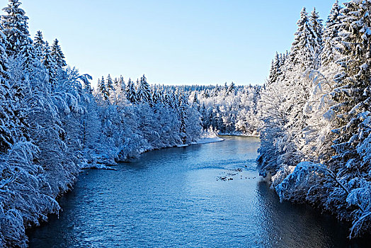 伊萨河,自然保护区,冬天,靠近,上巴伐利亚,巴伐利亚,德国,欧洲