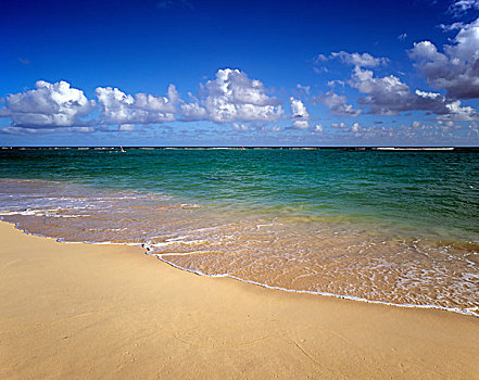 热带沙滩,海洋,云,瓜德罗普,法国,西印度群岛