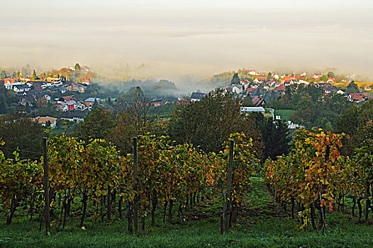 葡萄园,风景,乡村,巴登,葡萄酒,路线,巴登符腾堡,德国