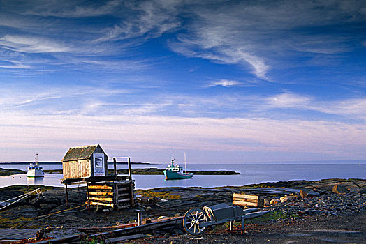 加拿大,新斯科舍省,蓝色,石头,早晨,港口