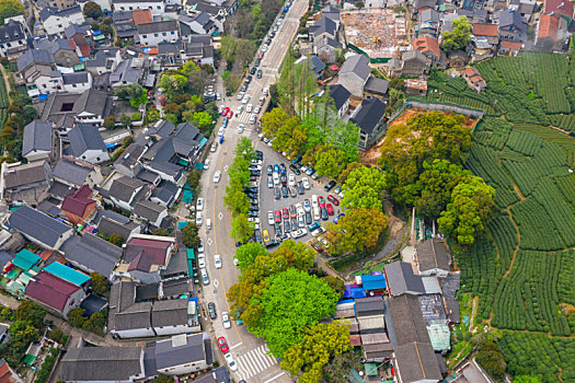 杭州西湖龙井茶产地梅家坞