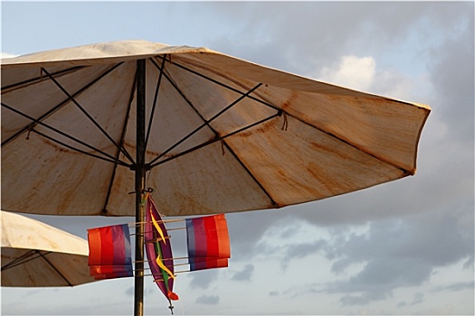 伞,放风筝,海滩