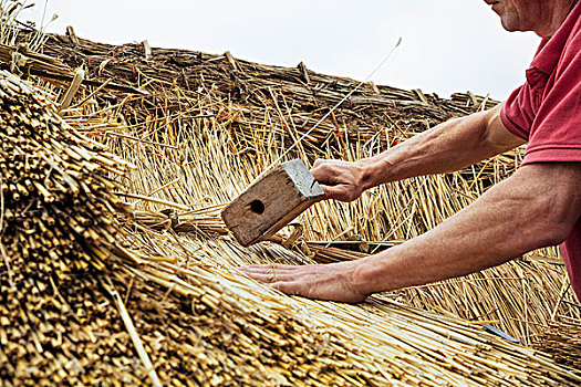 男人,屋顶,木质,槌棒,紧固,稻草