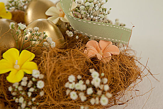 金色,复活节彩蛋,花,鸟窝,白色背景