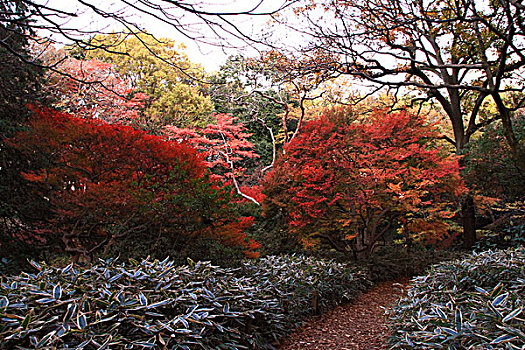 日本成田山