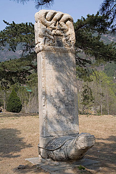 香山植物园内的石龟驼石碑