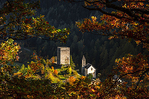 秋天,教堂,塔,区域,山谷,瑞士,欧洲