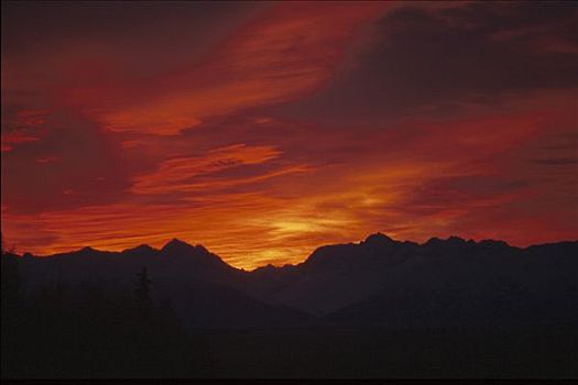 楚加奇山,阿拉斯加,日出,树,剪影,风景,云