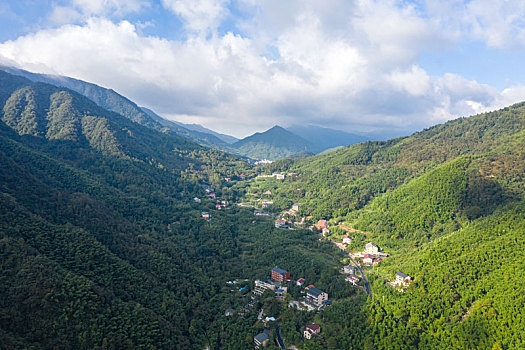 航拍茶园全景