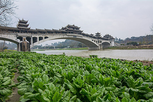 四川成都黄龙溪风景区