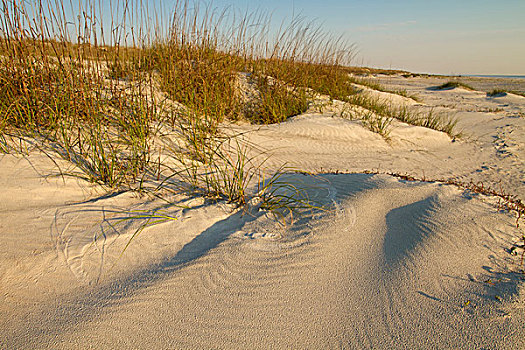 沙丘,岸边,大西洋,州立公园,佛罗里达