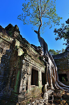 柬埔寨吴哥古城塔普伦寺神庙