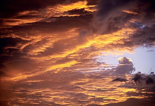 夏威夷,生动,日落,橙色,黄色,粉色,云,光亮,天空