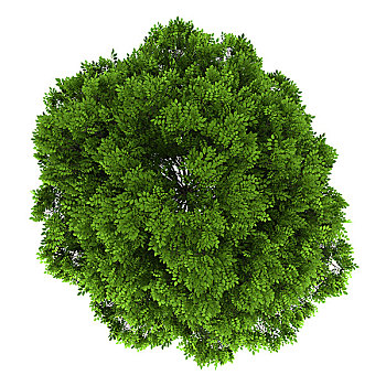 俯视,欧洲,隔绝