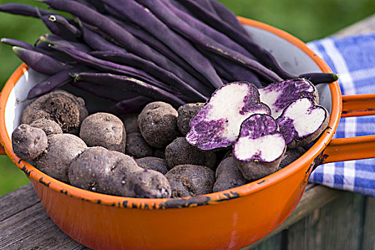 瓷釉,滤网,紫色,土豆,豆
