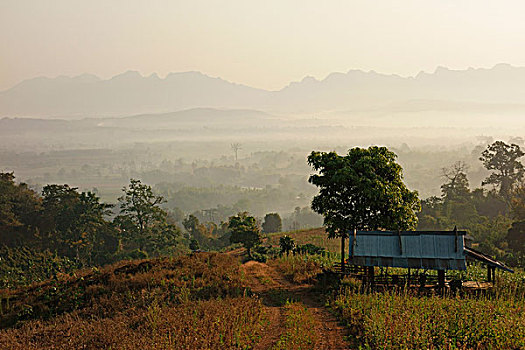 风景,乡村,早晨,清迈省,泰国