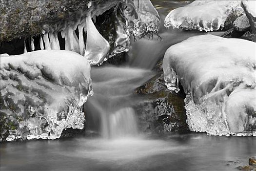 冬天,溪流,冰柱