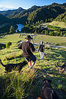 人,牧羊犬,赞赏,远眺,蓝色,山谷,住宿,国家公园,新西兰