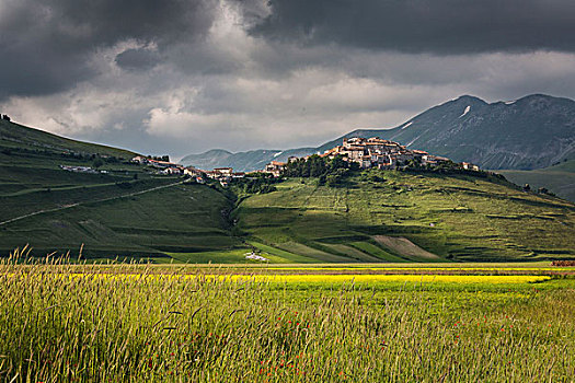 绿色,地点,玉米穗,中世纪,乡村,卡斯蒂卢齐奥迪诺尔察,省,佩鲁贾,翁布里亚,意大利,欧洲