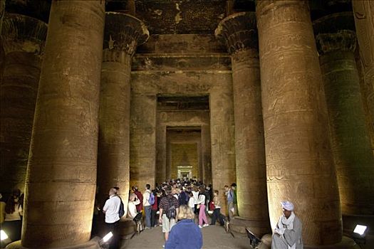高安宝神庙,埃及,最好,保存,庙宇,植物,入口,伊迪芙