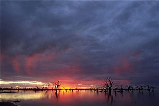 日落,湖,国家公园,新南威尔士,澳大利亚