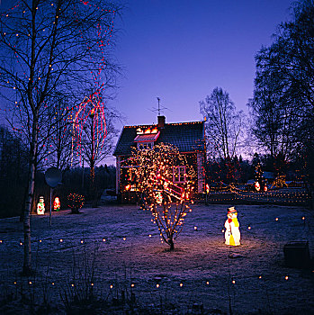圣诞灯光,装饰,花园