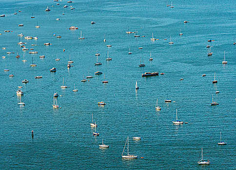 锚定,帆船,旧金山湾,区域,美国,加利福尼亚