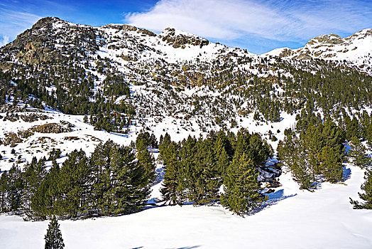 医院,越野滑雪,区域,比利牛斯山脉,韦斯卡,西班牙